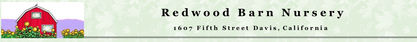 redwood barn logo
